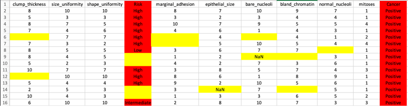 Dataset with Missing Data